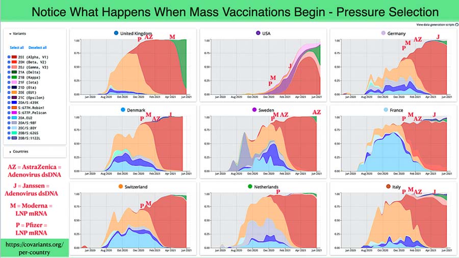 chart showing mass vaxx program helps create resistant COVID variants