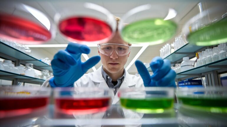 What Is Ivermectin? Explore Its Fascinating Origins